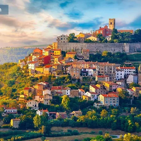 Gelci